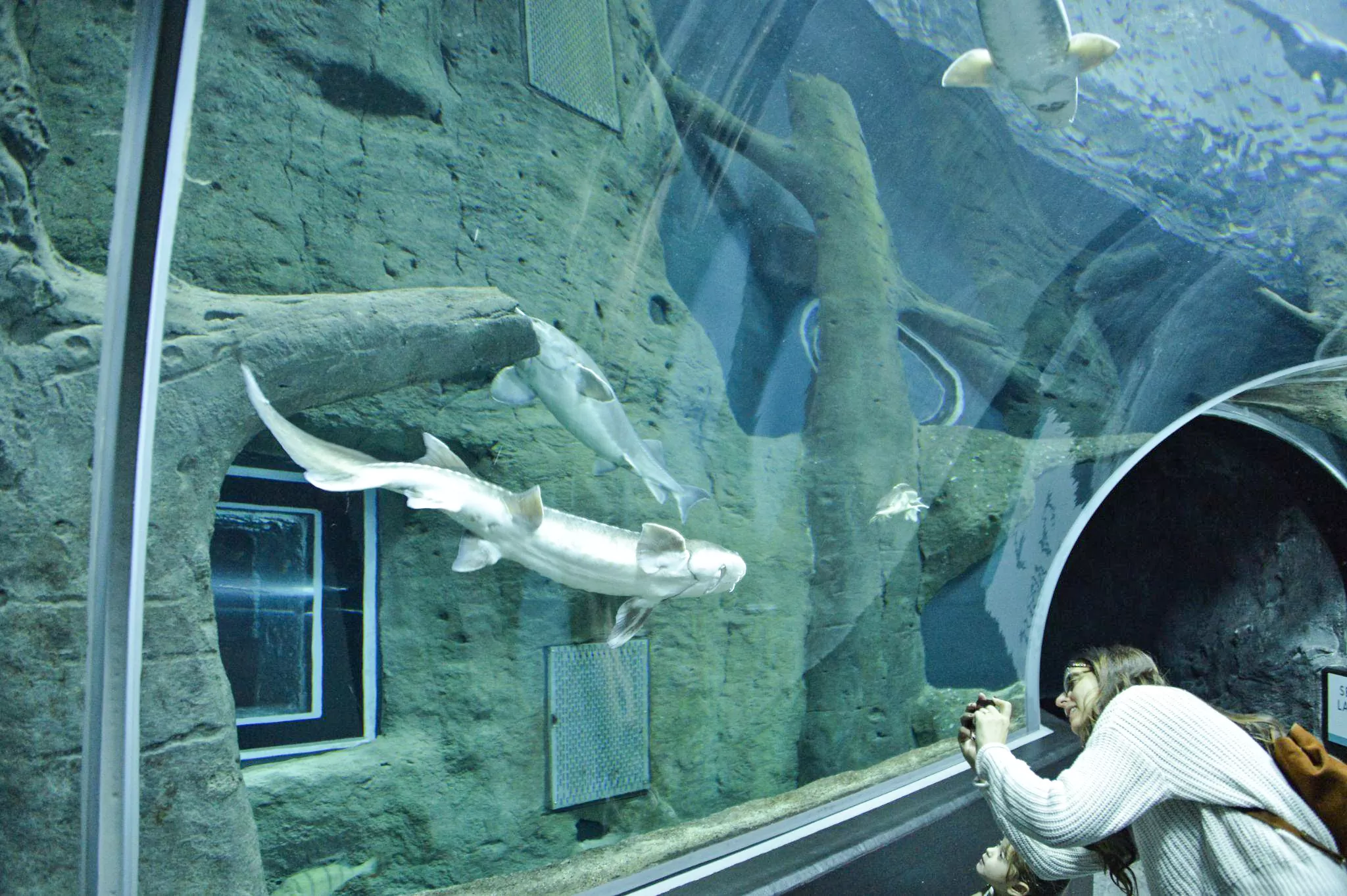 Aquatis Lausanne aquarium géant