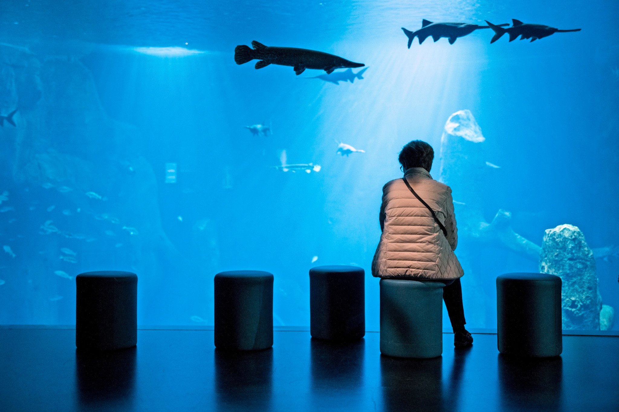 Parcours immersif Aquatis Lausanne