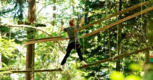 Accrobranche Parc Aventure Chaumont