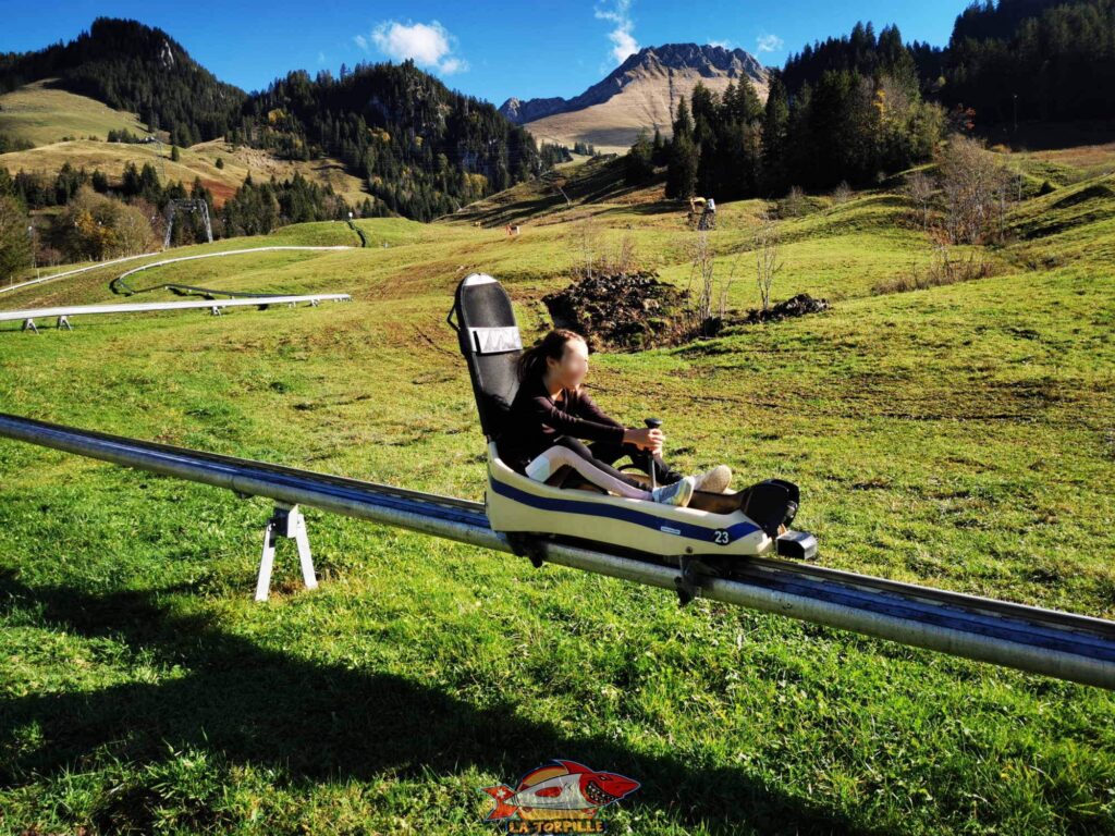 Luge d'été lac Noir en suisse
