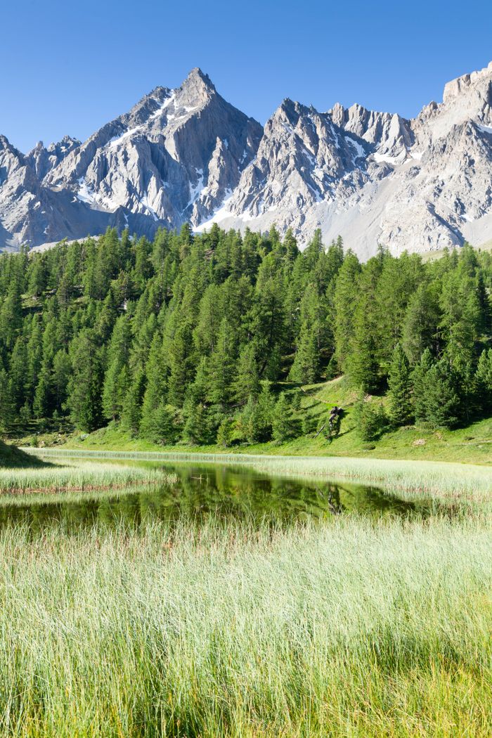 Beautiful alpine landscape with mountains, trees, and a serene pond in Ceillac, Provence.