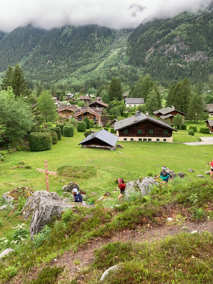 Picturesque village view in Chamonix-Mont-Blanc, France with lush greenery and alpine houses.